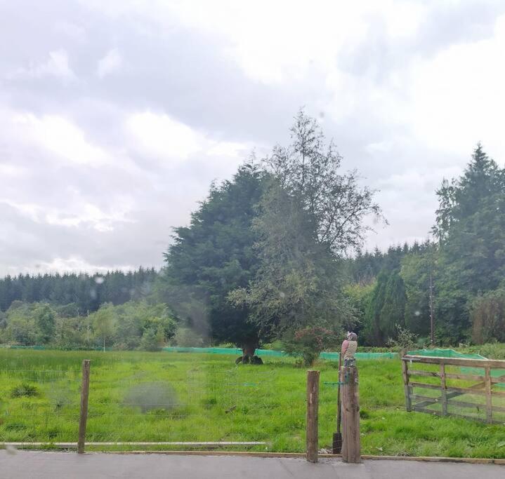 Drummacahan Lodge Ederny Εξωτερικό φωτογραφία